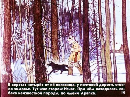 Какой рассказ белолобый