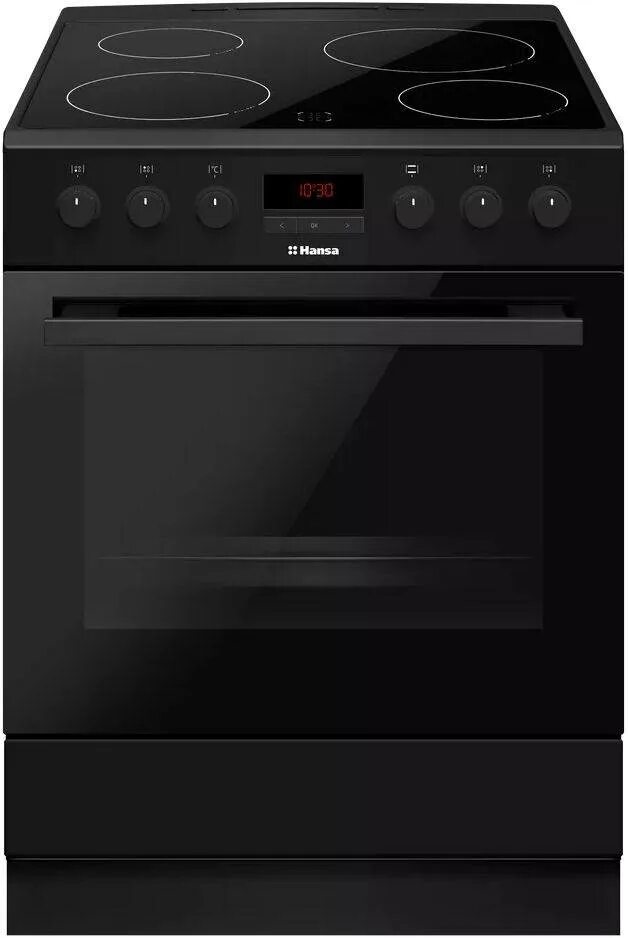 Hansa fccw58208. Hansa fcgw63020g. Hansa плита панель. Газовая плита hansa fcgw 63020. Hansa bcci6.