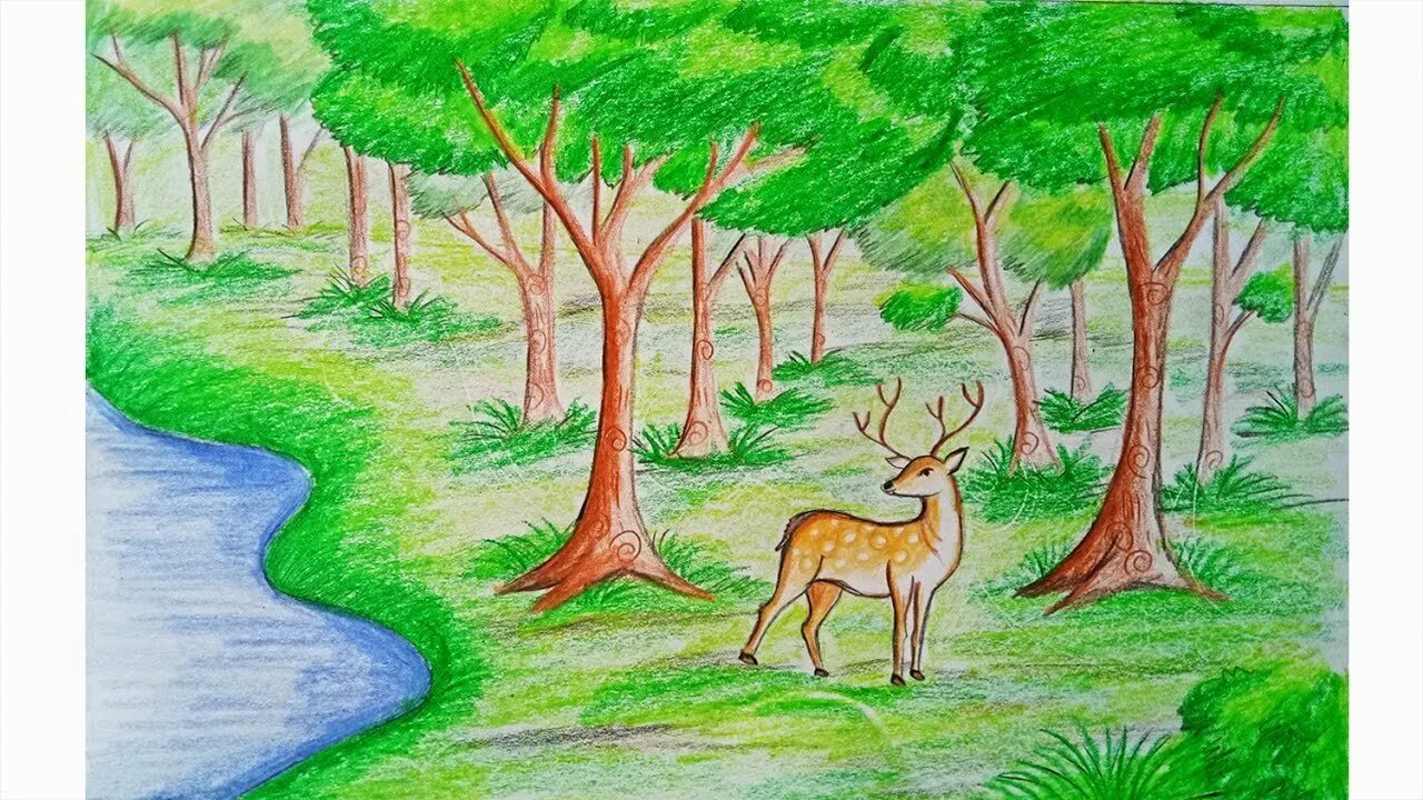 Природа рисунок. Рисунок на тему природа. Рисунок леса. Пейзаж карандашом. Рисунки природа рисовать