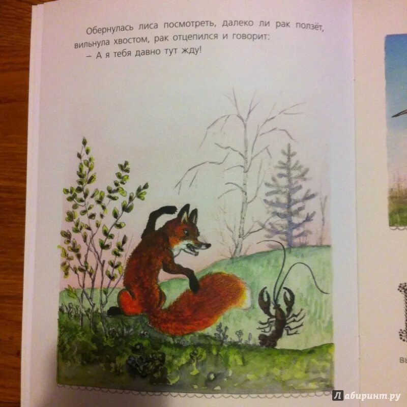 Какие книги сказки про лису есть. Рассказ сказки про лиса книга. Сказки Пушкина про лису. Книжка про лисичку и барсучка.