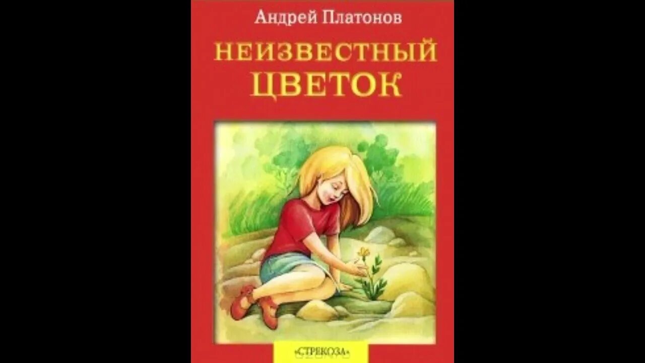 А П Платонов неизвестный цветок. А.П.Платонов сказка "неизвестный цветок".