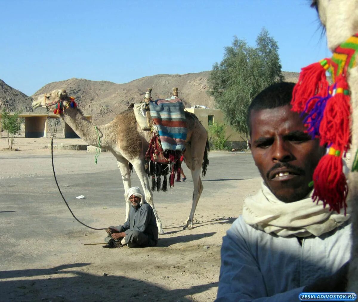 Египет люди. Египет местные жители. Египет люди. Населяющие страну египта. Жители египта.