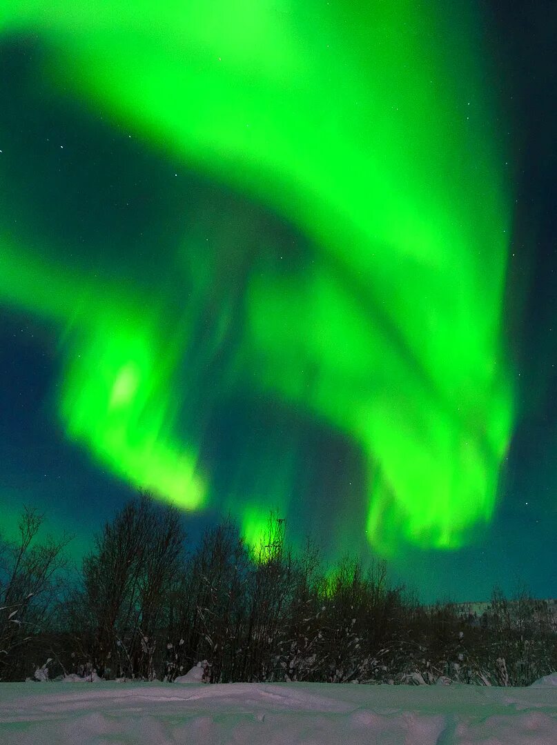 Полярное сияние в мурманске 2022. Полярное сияние на кольском полуострове. Мурманск северное сияние экскурсия. Полярное сияние в мурманске. Парк северное сияние мурманск.