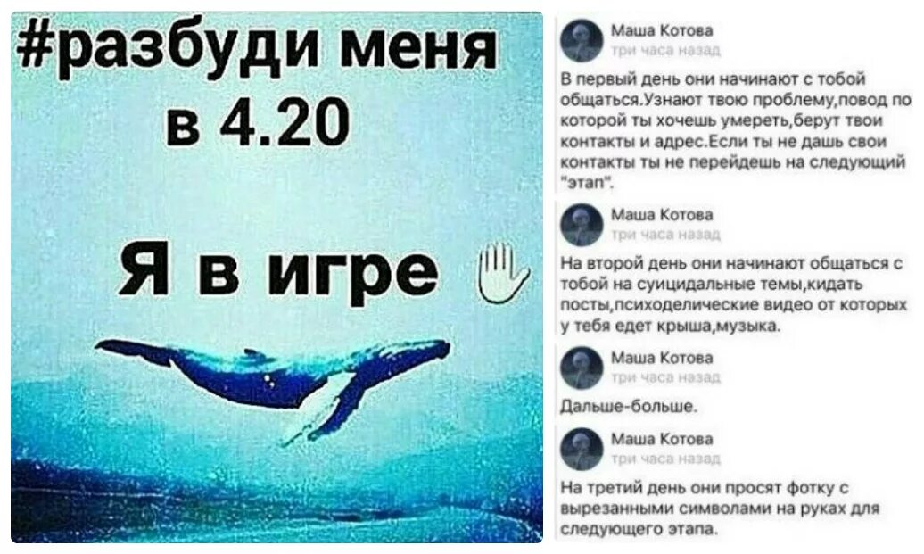 Цитаты 4 20