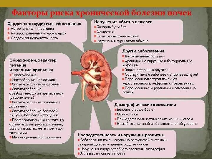 Почечный больной. Факторы риска развития почечной недостаточности. Факторы хронической почечной недостаточности. Факторы риска хронической почечной недостаточности. Факторы риска заболеваний мочевыделительной системы.