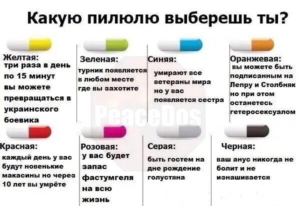 А что бы выбрал ты