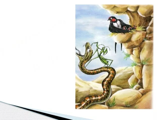 Ласточка и богомол сказка. Қарлығаш пен дәуіт ертегісі. Ласточка и змея. Ласточка и змея сказка. Сары жылан рисунок карандашом.