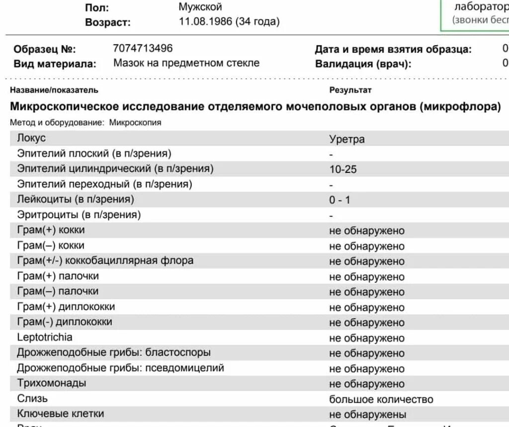 Микрофлора мочевого пузыря