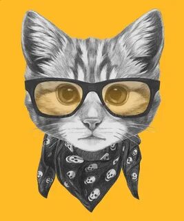 Аватарка кота в очках