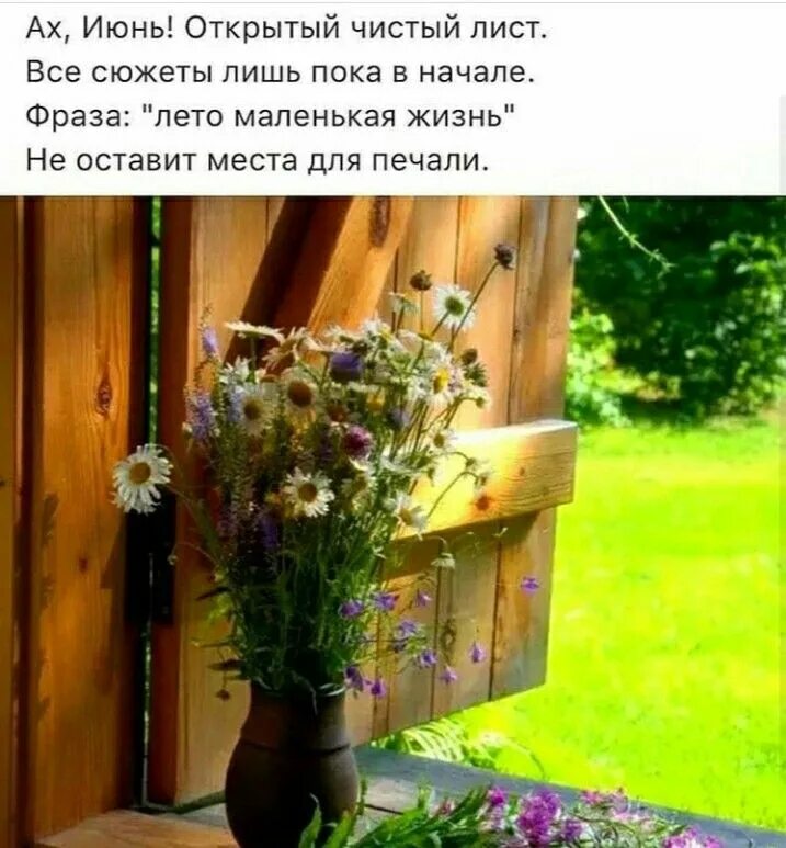 Цвет лета цитаты. Красивые высказывания о лете и цветах. лето - это маленькая жизнь. цитаты о лете и цветах. фразы про цветы и лето.