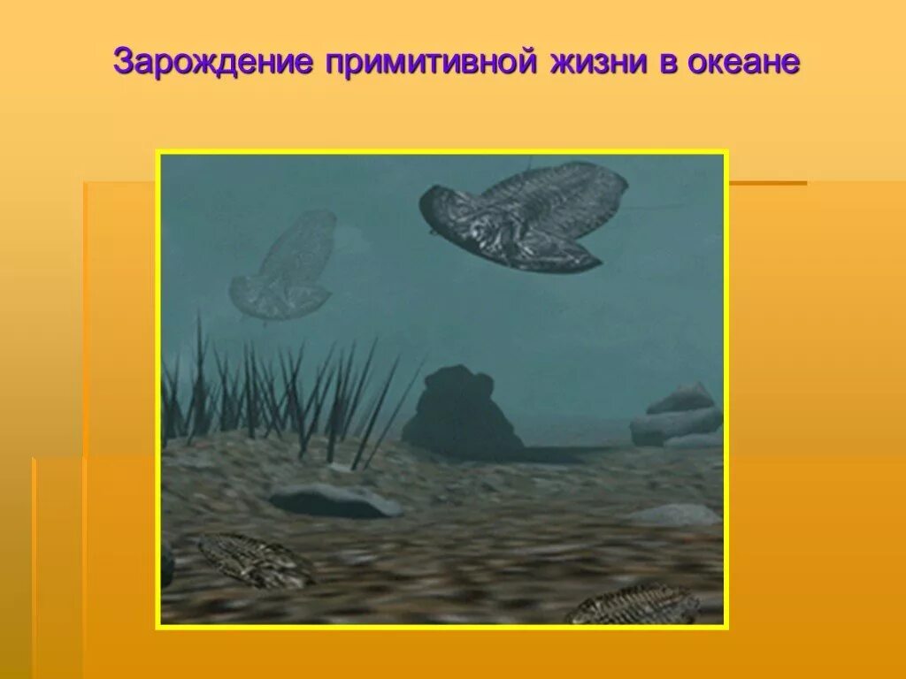 Жизнь на земле зародилась на суше. Зарождение жизни в океане. Зарождение примитивной жизни в океане. Возникновение жизни в океане. Возникновение жизни в мировом океане.