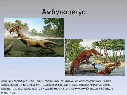 Период 6 букв