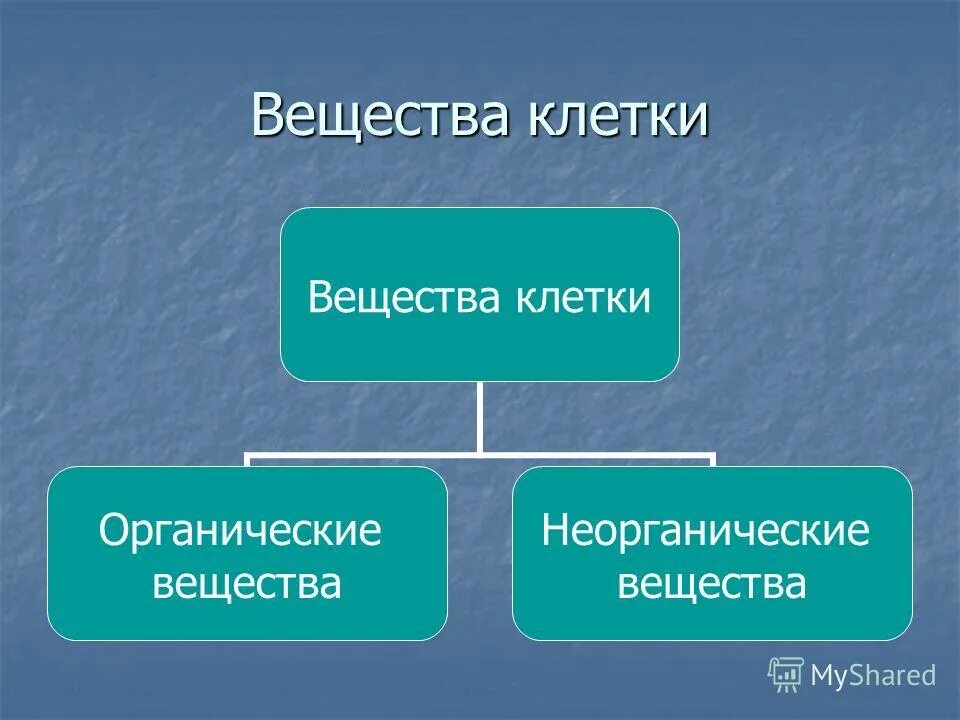 Органический и неорганический мир