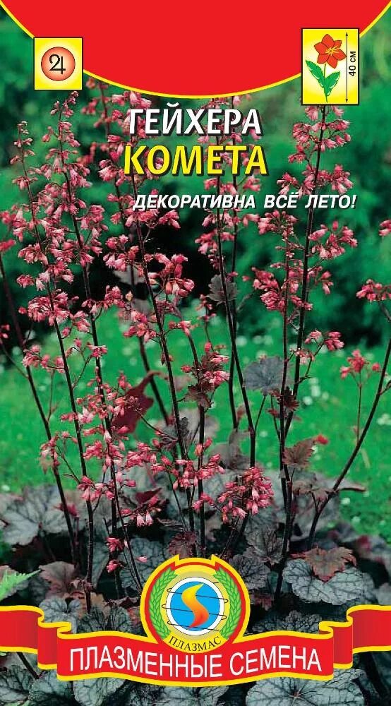Гейхера семена фото ГЕЙХЕРА отзывы развод или правда