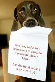 Pin von Bettina Schulz auf lustig Lustige zitate und sprüche, Hund witze, W...