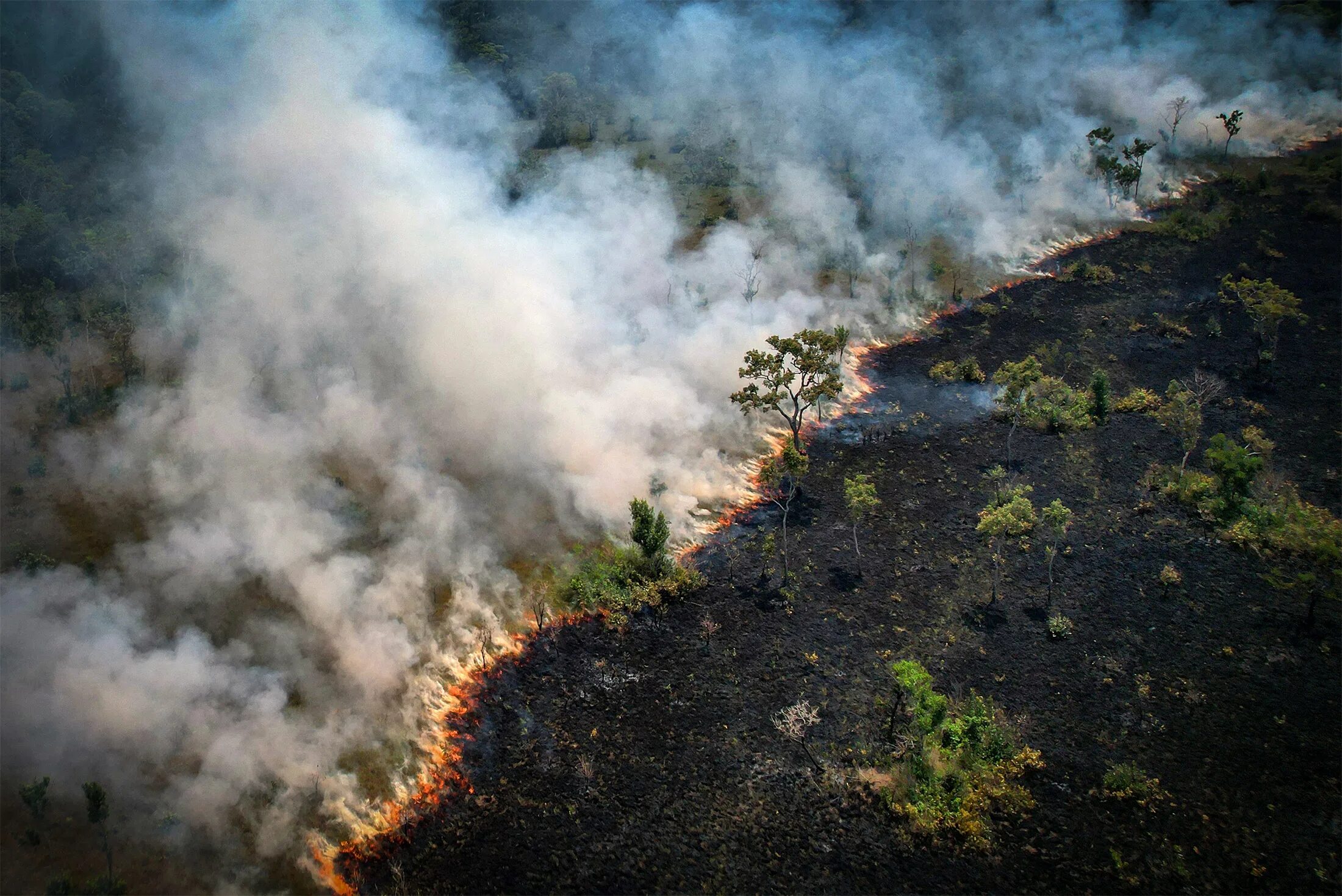 Fire on the amazon 93 го