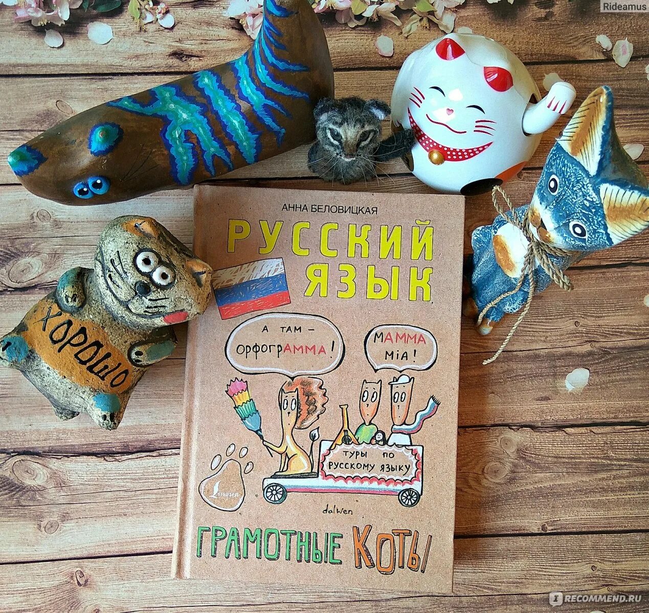 Кот в библиотеке. Грамотный кот. Книги про кошек. Грамотный кот. Коты и книги.