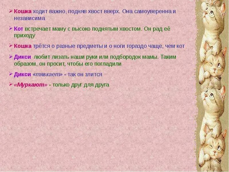 Вверх почему 2 в. Кот ходит хвостом вверх. Ходит с хвостом. Кошка ходит с поднятым хвостом вверх. Почему кот ходит с поднятым хвостом вверх.