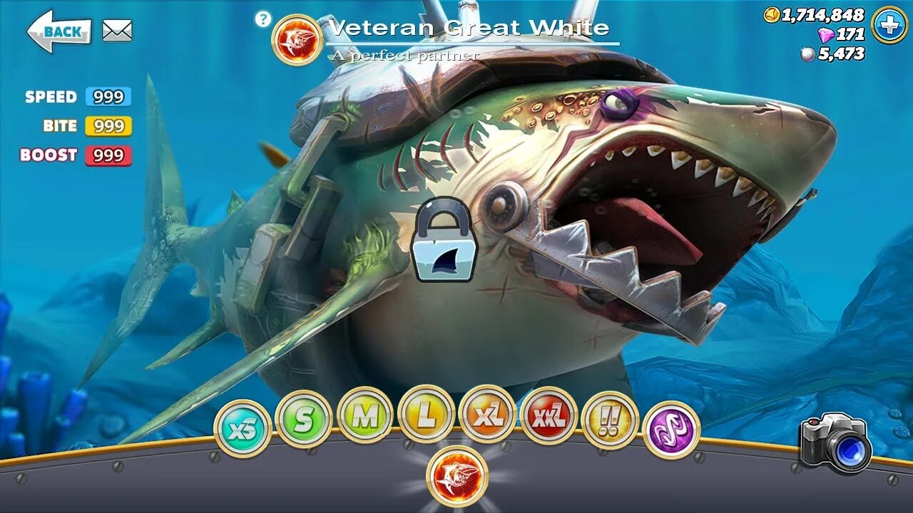 Hungry shark world взлоmанную. Акула нянька hungry Shark World. Большая белая акула Хангри Шарк. Hungry Shark World большая белая акула. Great White Хангри Шарк.