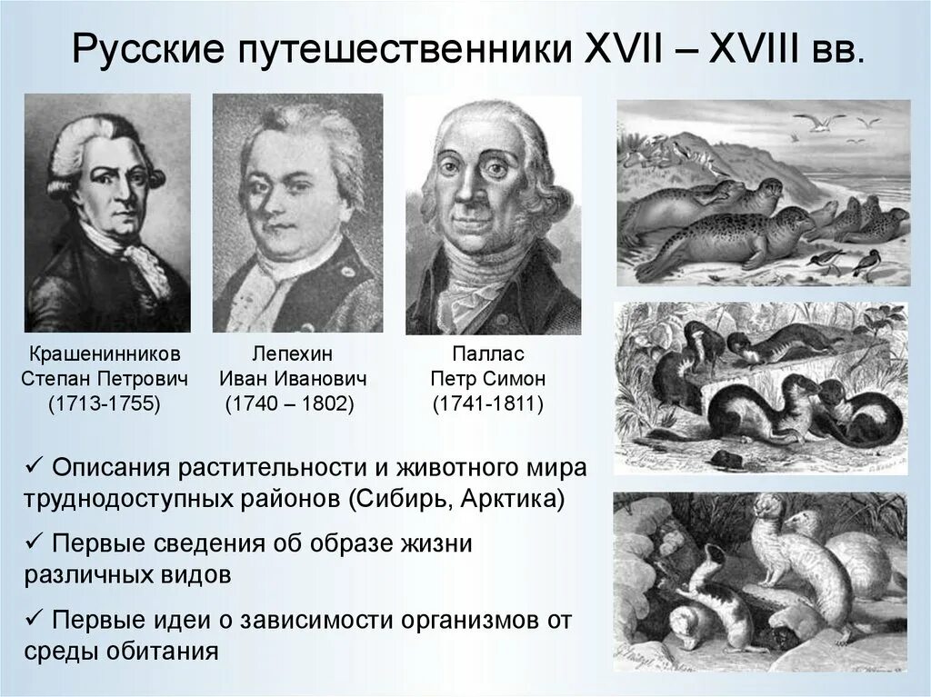 Исследователи 18 веков. Русские путешественники 18 века Паллас. Русские Первооткрыватели и путешественники 18 века. Русские путешественники XIX века.