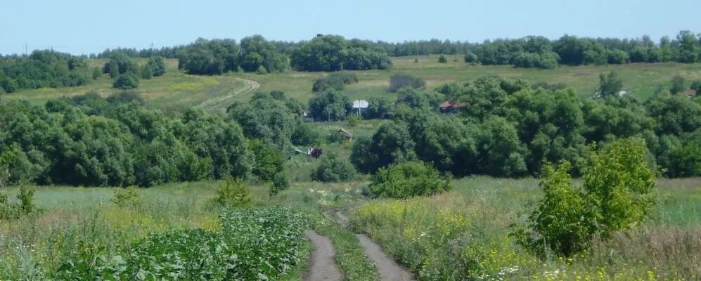 Малое Гагарино Тамбовская область Бондарский район. Знаменка Петровский район Тамбовской области. Село малый ломовис Тамбовская область. Деревня Федоровка Тамбовская область Бондарский район.