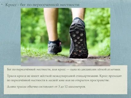 Длительный бег по пересеченной местности цдз