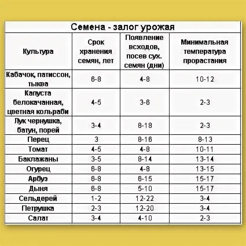 Хранение семян томатов