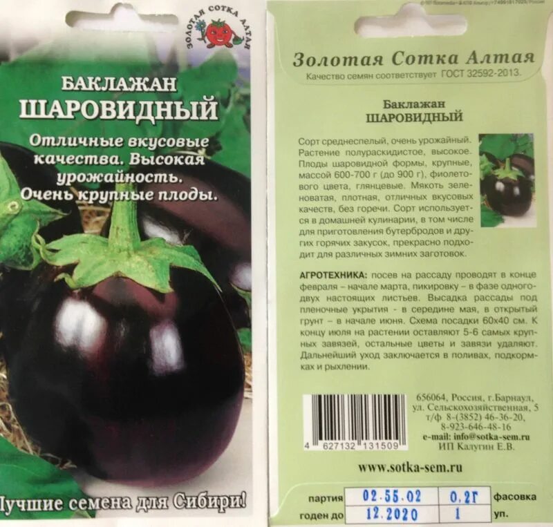 22 сорта баклажанов для выращивания в теплице, открытом грунте