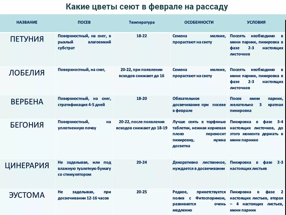 Рассада овощей. Семена для рассады. Цветы рассада. Какие растения можно сажать в феврале на рассаду. Сроки высадки семян на рассаду таблица.