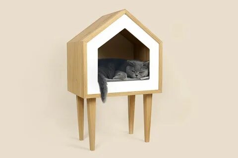 Cats house