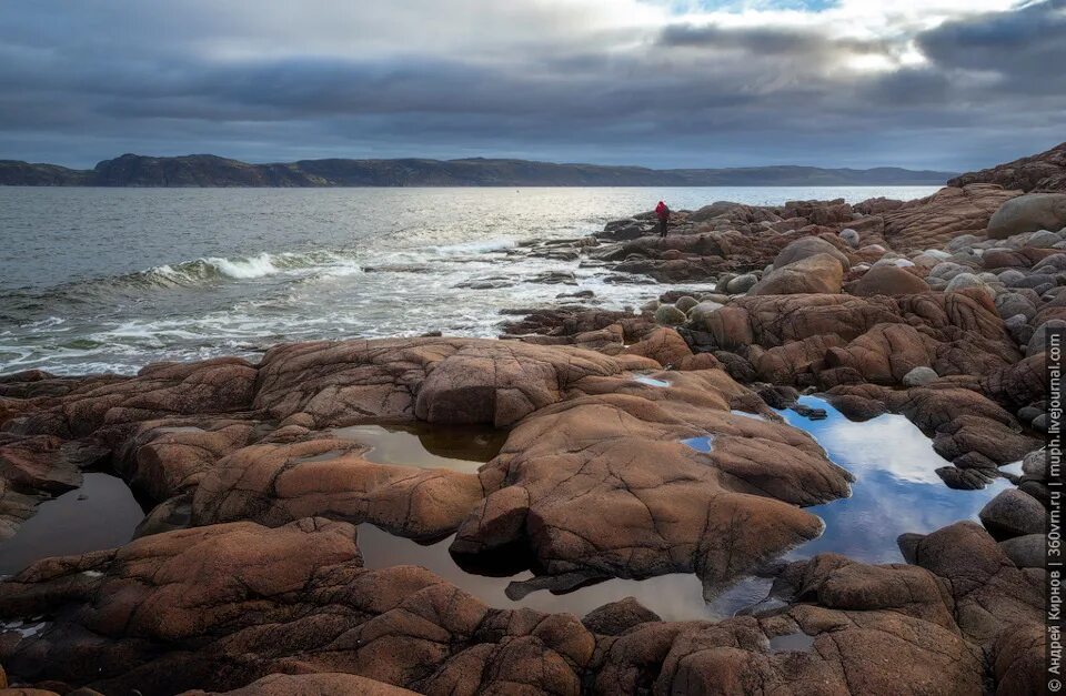 Баренцево море природа. Баренцево море 6. Кольский полуостров баренцево море. Баренцево море териберка. Баренцево море 6.