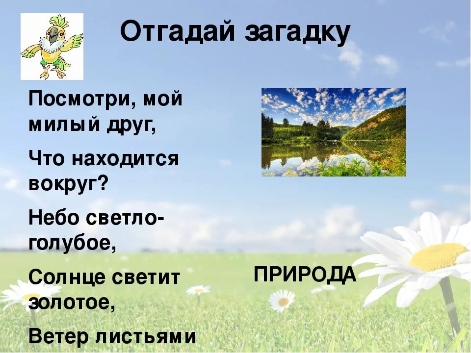 Загадка с ответом окружающий мир