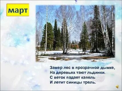 Замер лес