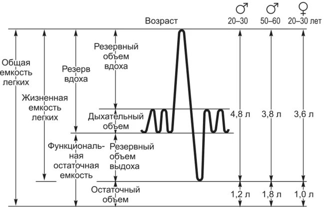 Деление общей емкости легких. Легочные объемы и емкости физиология. Показатели внешнего дыхания легочные объемы. Дыхательные объемы и емкости легких. Схема дыхательного объема легких.