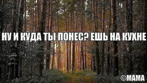 Понесло слушай