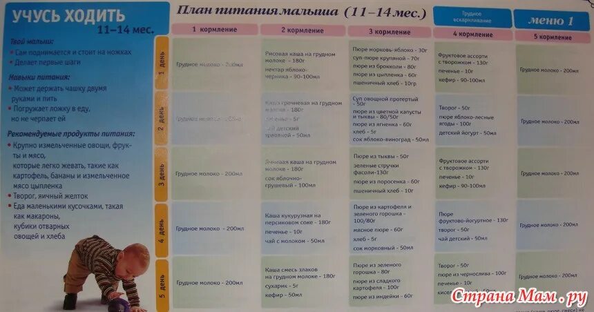 Меню на день для ребенка 11 месяцев. Питание ребёнка в 11 месяцев на искусственном вскармливании. Меню на день ребенка 11 мес. Меню 11 месячного ребенка на каждый.