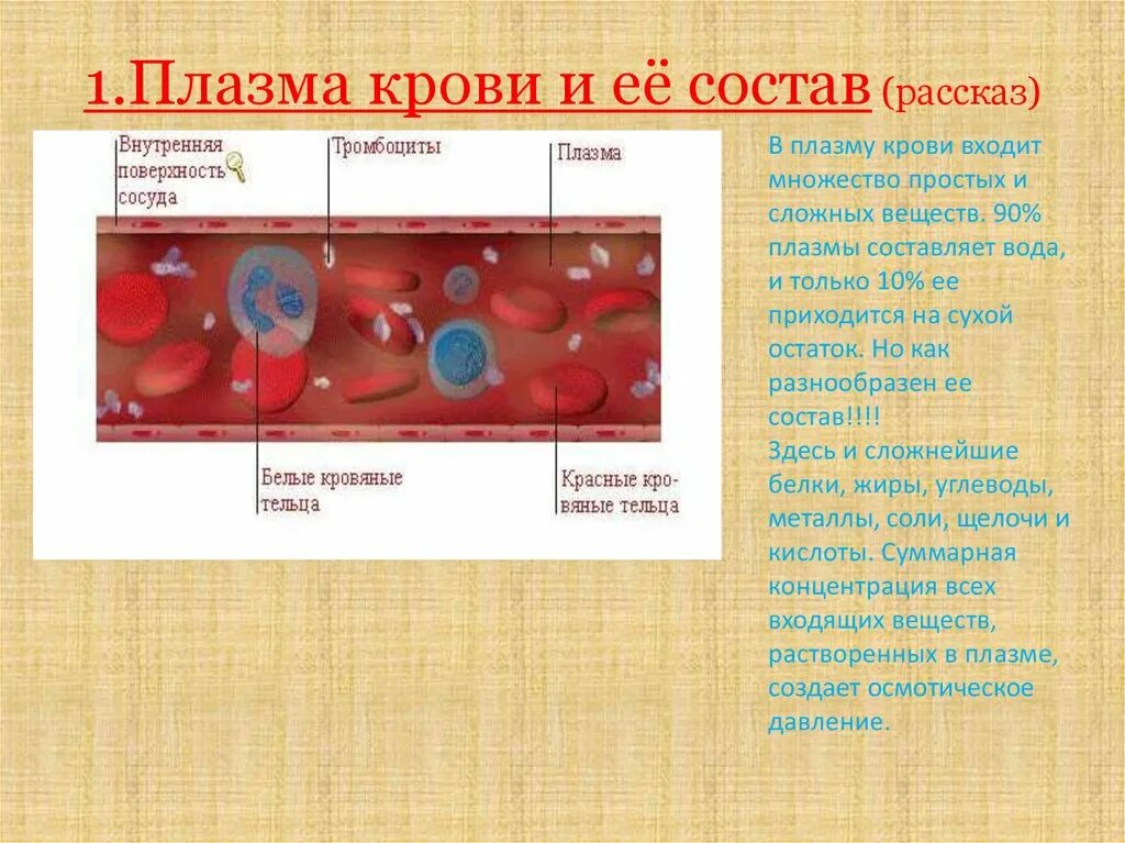 Форма плазмы крови