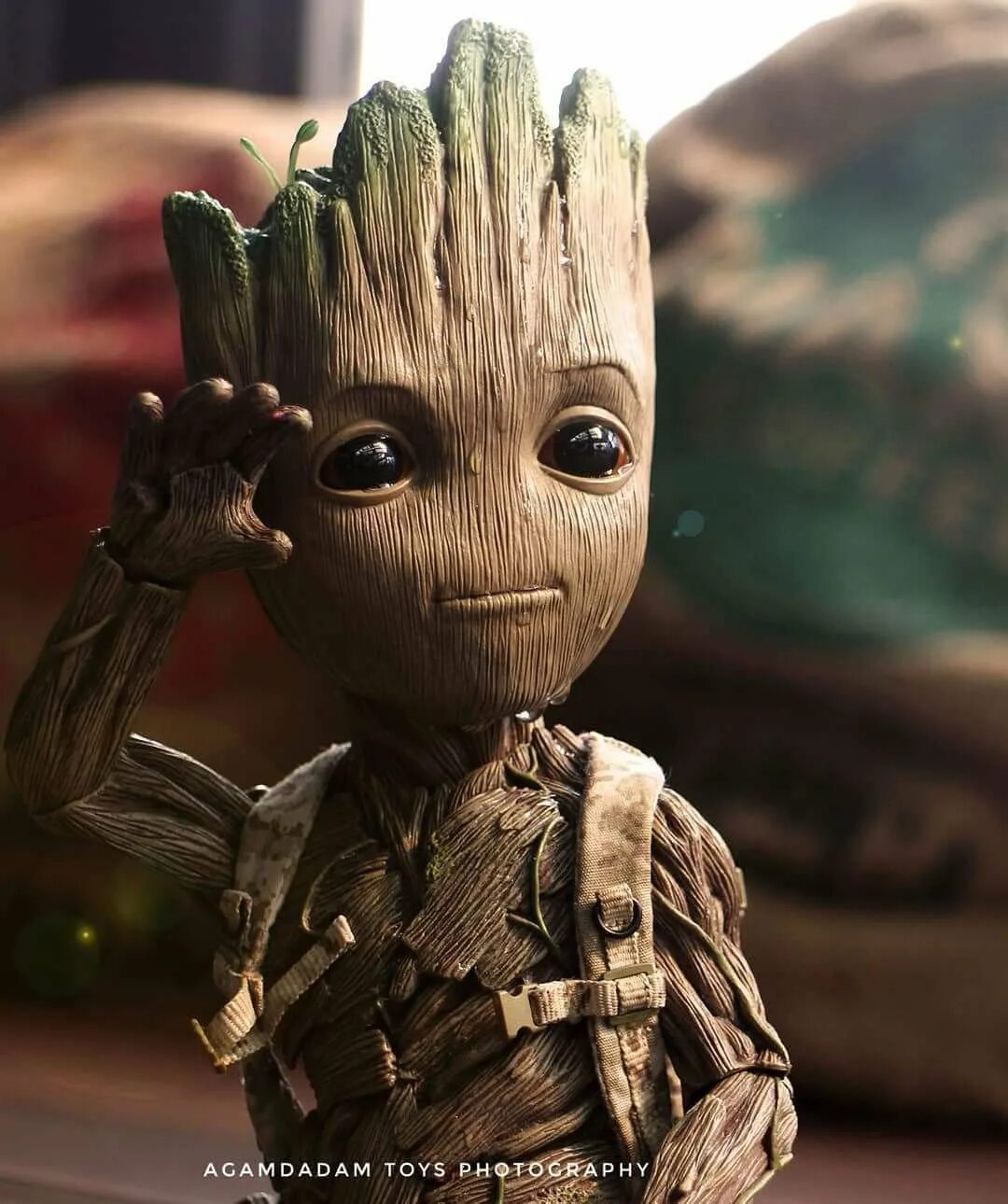 Groot