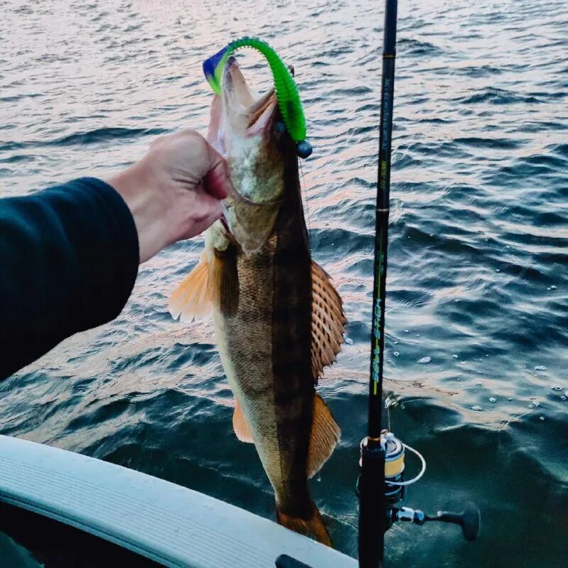 судак 1958. гора палвани-оба. судак любимый. судак любимый. судак рыба.