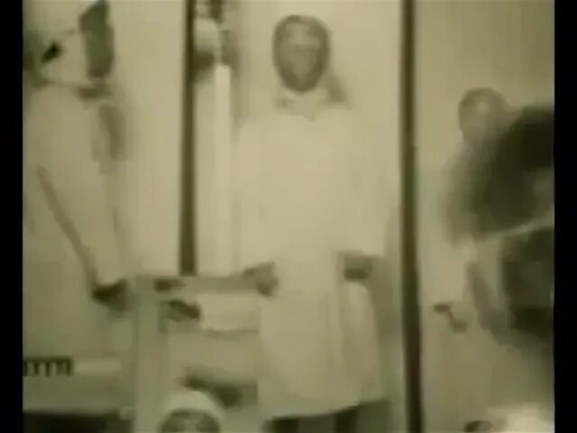 Частушки из собачьего сердца. Частушки из собачьего сердца