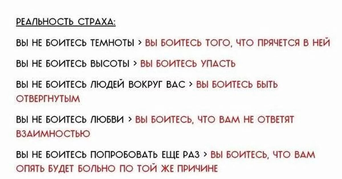 Мы не мыши мы не страхи. Реальность страха. Высказывания про страх. Фразы про страх. Цитаты про страх.