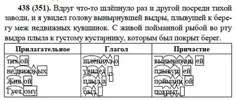 Русский язык 6 класс номер 438