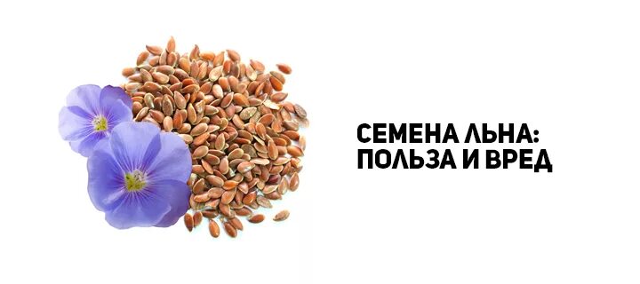 Темный лен польза. Семена льна для организма. Семена льна инфографика. Польза льна. Семена льна польза и вред.