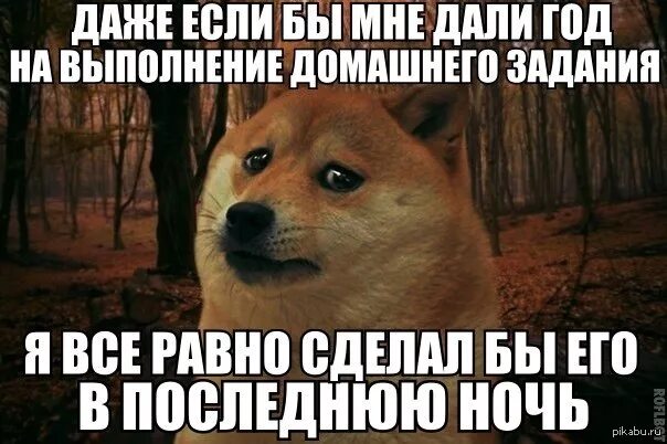 Поможет с данной проблемой