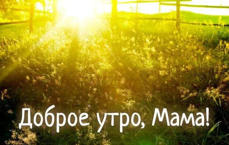 Доброго утра, мамочка. Я тебя люблю Доброе утро, Картинки, Счастливые картинки