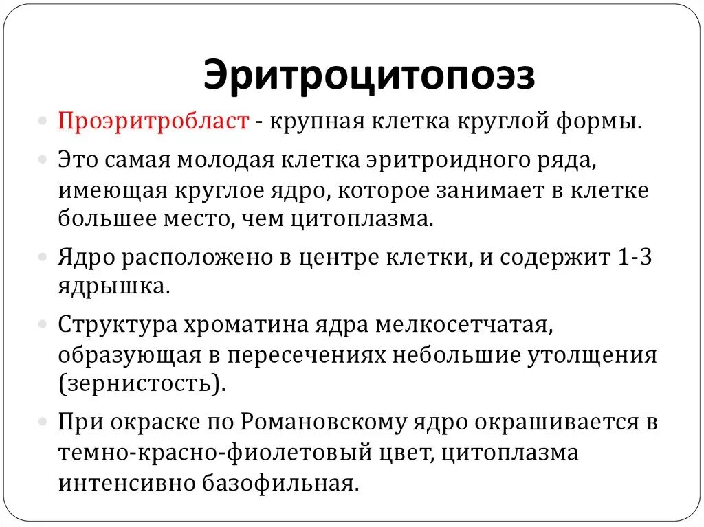 Эритроцитопоэз. Эритроцитопоэз тромбоцитопоэз. эритроцитопоэз кратко. эритроцитопоэз стадии.