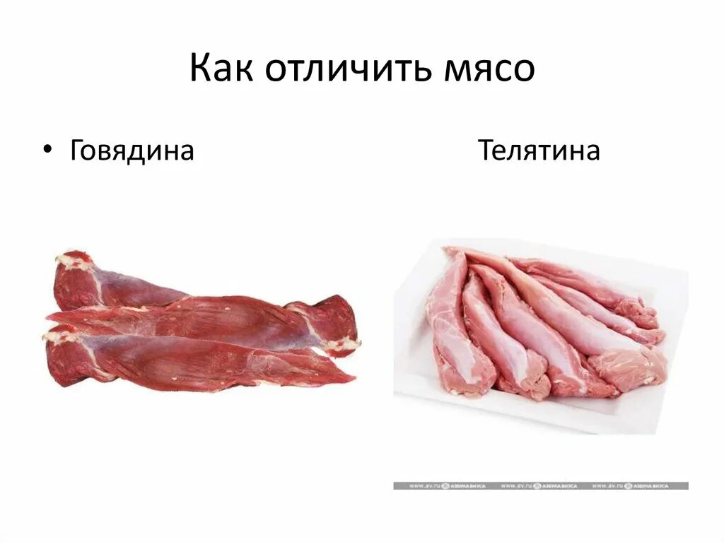 виды мяса. телятина от говядины. как отличить телятину от говядины. мясо телятины и говядины отличие. отличие телятины от говядины.