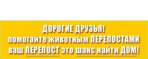 Давайте сделаем репост