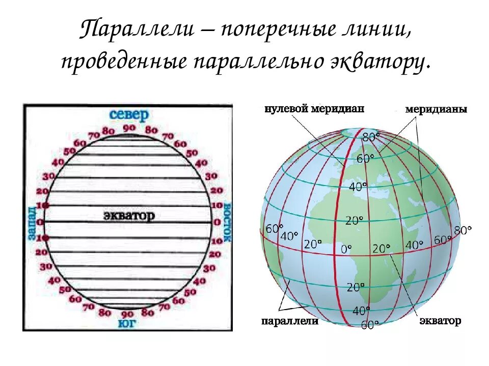 Параллели и меридианы градусная сеть 5 класс. География градусная сеть Меридиан. Экватор Меридиан параллель 5 класс. Градусная сеть земли 5 класс география. 0 параллель на карте