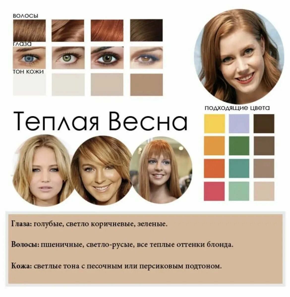 Что такое цветотип внешности. Что такое цветотип внешности